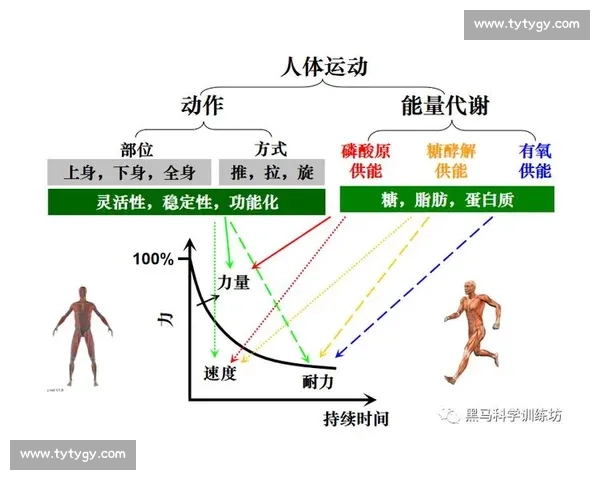 科学热身运动指南助力提升训练效果与身体灵活性全面解析